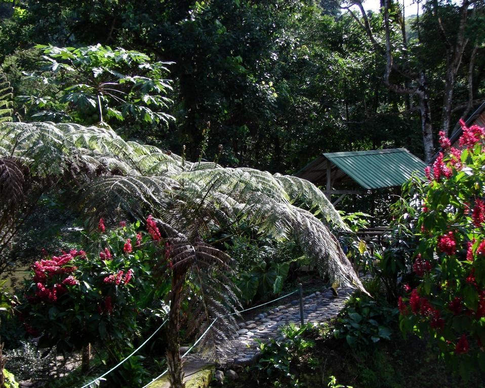Playaselva Reserva Biologica Archidona Ngoại thất bức ảnh