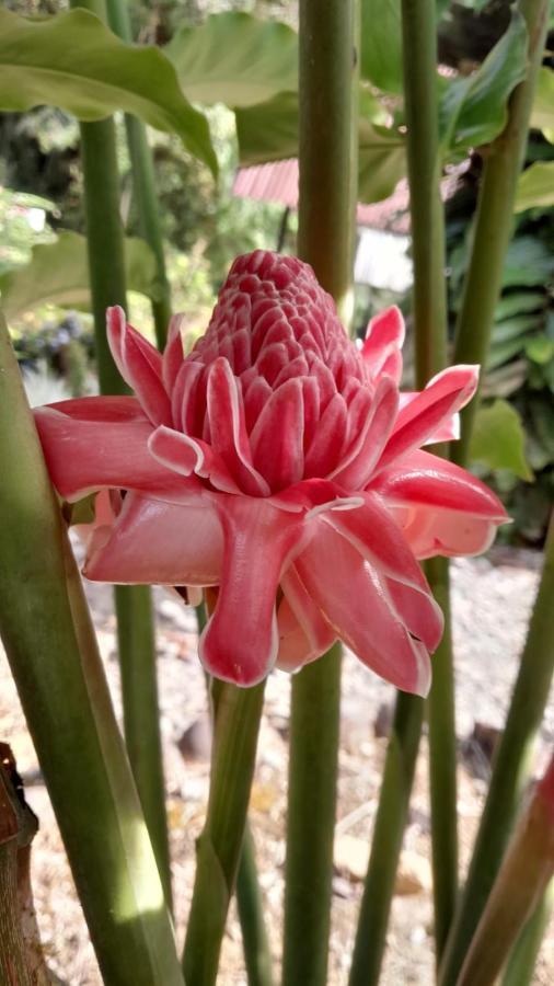 Playaselva Reserva Biologica Archidona Ngoại thất bức ảnh