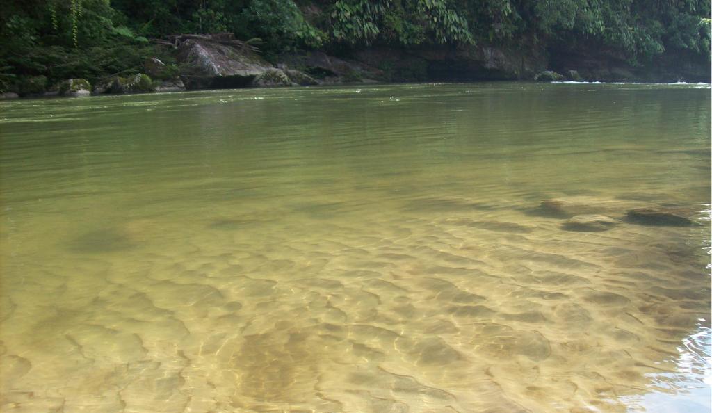 Playaselva Reserva Biologica Archidona Ngoại thất bức ảnh